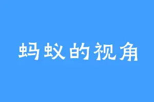 蚂蚁的视角