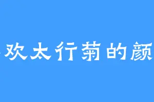 喜欢太行菊的颜月