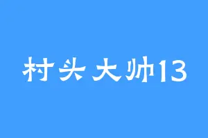 村头大帅13