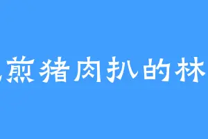 爱吃煎猪肉扒的林长老