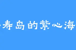 海寿岛的紫心海棠