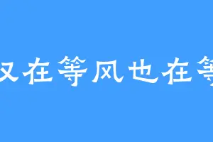 不仅在等风也在等你