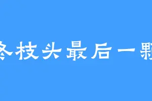 寒冬枝头最后一颗枣