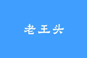 老王头