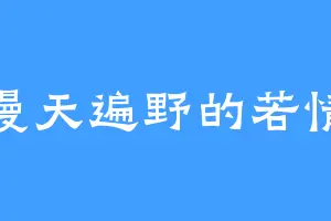 漫天遍野的若情