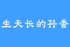 天生天长的孙香肠