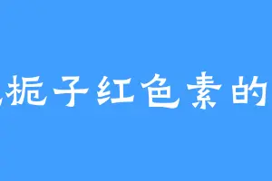 爱吃栀子红色素的龙总