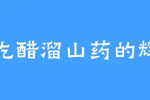 爱吃醋溜山药的辉染
