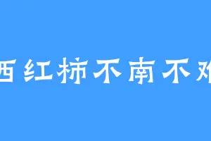 西红柿不南不难