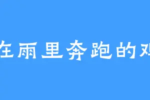 在雨里奔跑的鸡