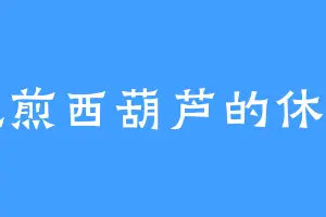 爱吃煎西葫芦的休山月