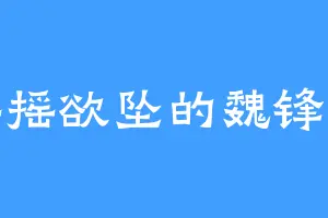摇摇欲坠的魏锋行