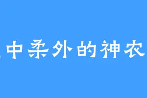 刚中柔外的神农子