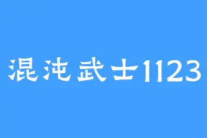 混沌武士1123