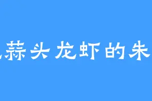 爱吃蒜头龙虾的朱子明