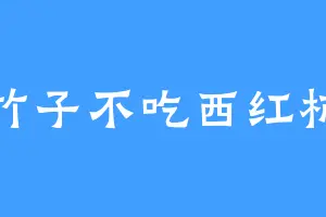 竹子不吃西红柿