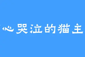 伤心哭泣的猫主子
