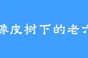 橡皮树下的老六