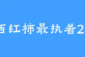 西红柿最执着24