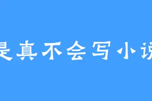 我是真不会写小说啊