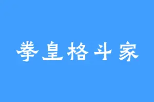 拳皇格斗家