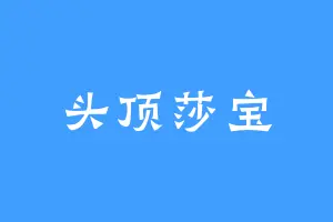 头顶莎宝