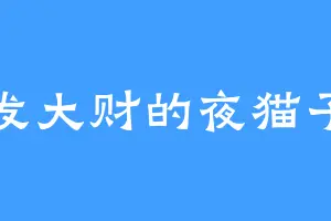 发大财的夜猫子