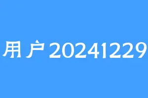 用户20241229