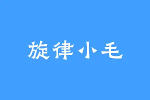 旋律小毛