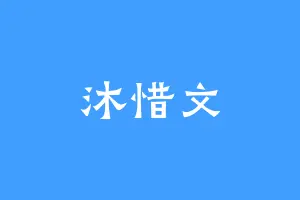 沐惜文