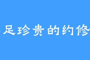 弥足珍贵的约修亚