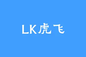 LK虎飞