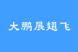 大鹏展翅飞