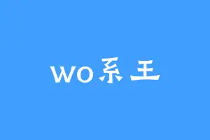 wo系王