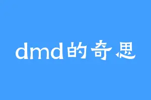 dmd的奇思