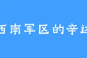 西南军区的辛达