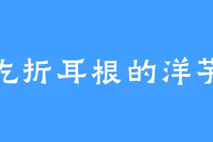爱吃折耳根的洋芋粑
