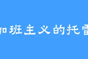不加班主义的托雷酱