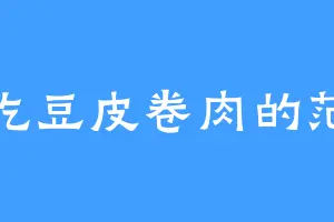 爱吃豆皮卷肉的范宽