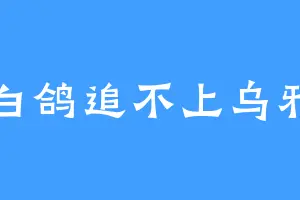 白鸽追不上乌鸦