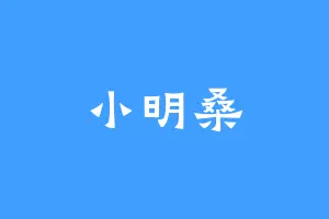 小明桑