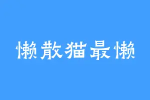 懒散猫最懒