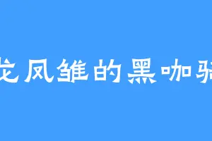 卧龙凤雏的黑咖骑士