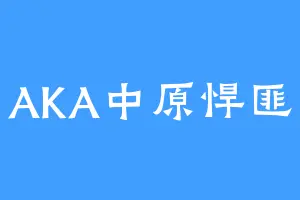 AKA中原悍匪