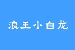 浪王小白龙