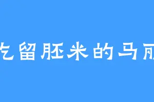 爱吃留胚米的马丽华