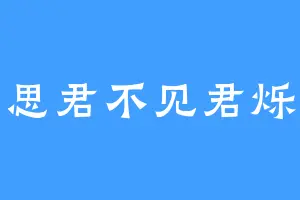 思君不见君烁