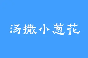 汤撒小葱花