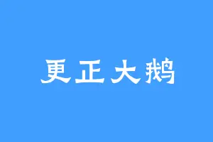 更正大鹅
