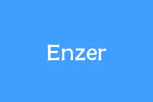 Enzer